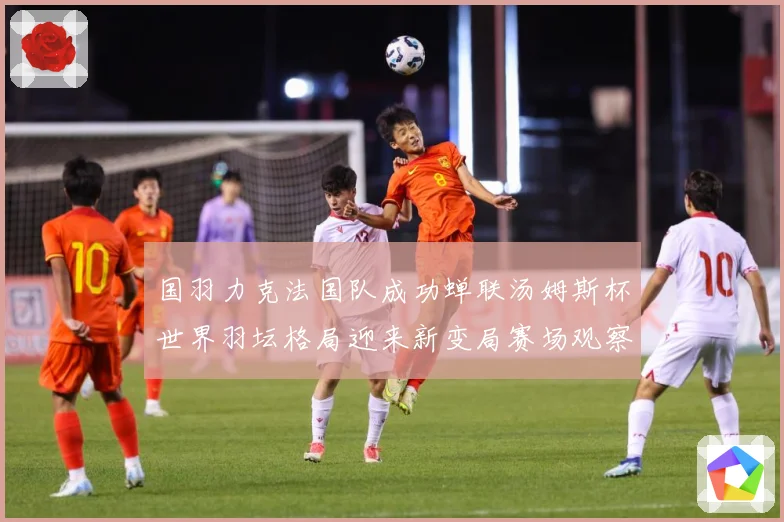 国羽力克法国队成功蝉联汤姆斯杯世界羽坛格局迎来新变局赛场观察：最新赛事动态与深度分析